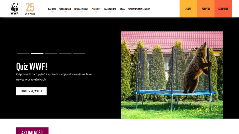WWF Poland 25 years site with quiz invitation about predator fake news and bear on trampoline image