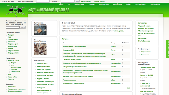 Website homepage with navigation menu and list of services offered.