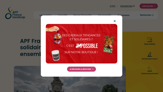 apf-francehandicap.org