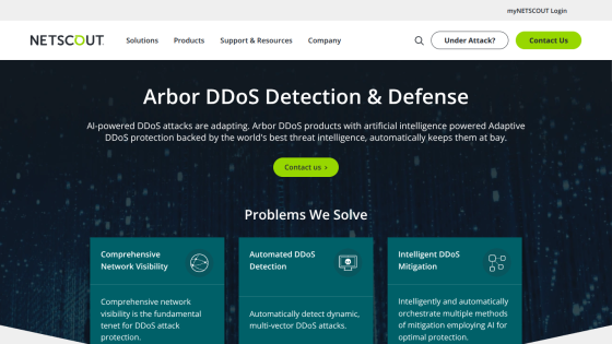 NETSCOUT's DDoS Detection & Defense solutions overview with key problem statements.