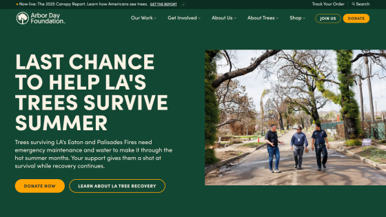 Call to action for supporting LA's trees during summer with a photo of people outdoors.