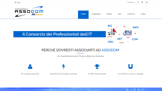 Consorzio ASSODOM homepage showing IT professionals consortium benefits with 40+ companies, advanced tech platform, and 10,000+ domains managed