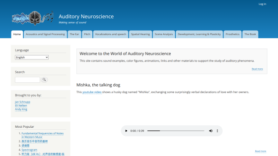 Homepage of Auditory Neuroscience with welcome message and audio player.