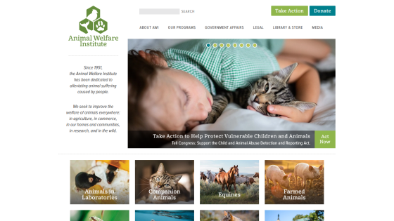 Homepage of Animal Welfare Institute featuring a child with a cat and links to programs.