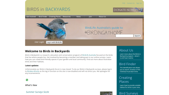 Birds in Backyards homepage with navigation, hero image of a bird, and welcome text about bird conservation and surveys