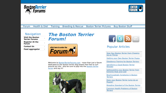 Homepage of the Boston Terrier Forum featuring navigation links and a welcome message.