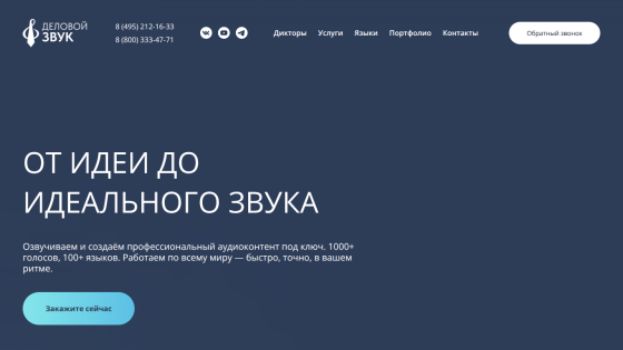 Homepage featuring a microphone and tagline about achieving ideal sound.