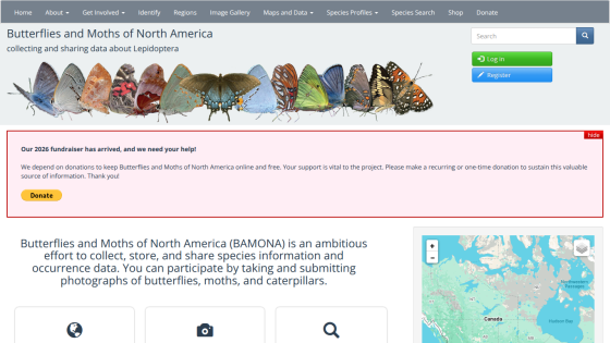 butterfliesandmoths.org