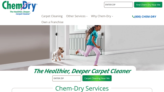 Chem-Dry carpet cleaning homepage with logo, navigation, hero image of child and dog running, and zip code search for local services