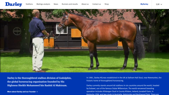 Homepage of Darley featuring a man with a horse and introductory text about the organization.