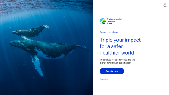 Homepage promoting environmental impact with whales swimming and a call to action button.