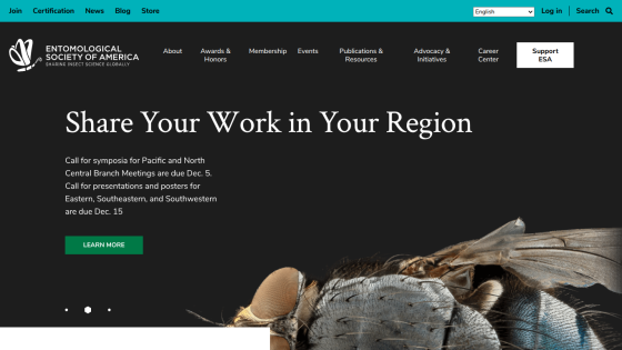 Website homepage promoting regional work sharing with a call-to-action button and a close-up image of a sculpture.