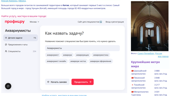 Website interface displaying task input options and a question prompt.