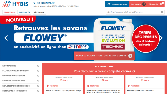 Homepage of HYBIS featuring Flowey products with promotional banner and product categories.