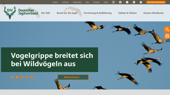 Deutscher Jagdverband website with navigation and headline about avian influenza spreading among wild birds