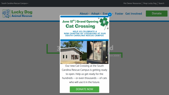 luckydoganimalrescue.org