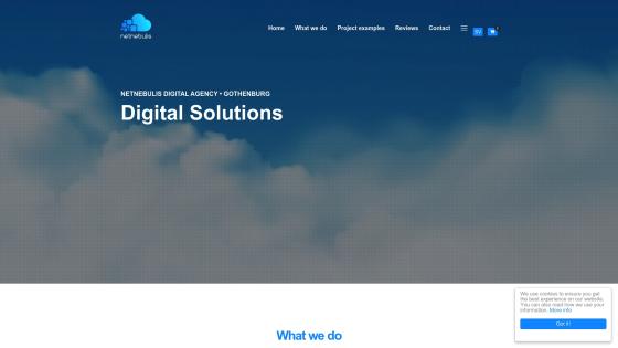 netnebulis.com