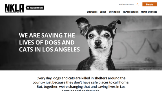 Homepage of NKLA featuring a dog and a message about saving pets in Los Angeles.
