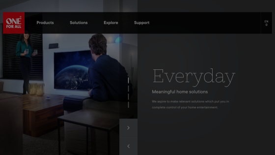 Homepage hero section showing a person looking at a screen with text 'Everyday Meaningful home solutions'