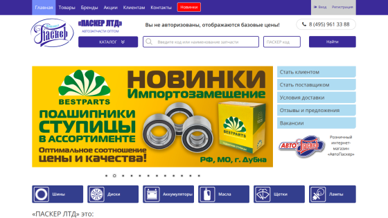 Wholesale auto parts website with navigation, search bar, and hero banner advertising Bestparts bearings and hubs.