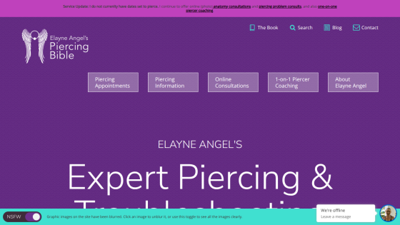 piercingbible.com