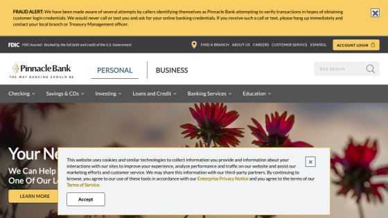 pinnbanktx.com