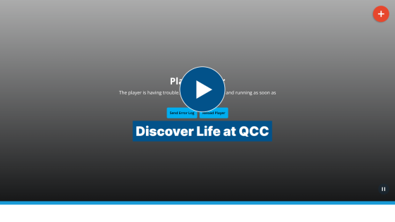 qcc.edu