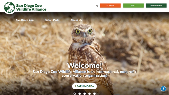 Homepage of San Diego Zoo Wildlife Alliance featuring an owl and welcome message.