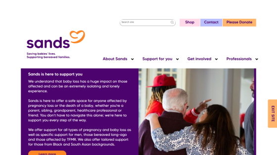 Sands website offering support for pregnancy and baby loss with navigation and donation options