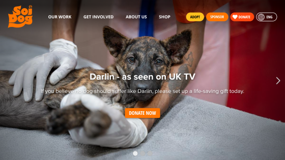 Soi Dog Foundation homepage with a dog named Darlin featured and a call to donate