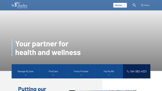 Website header with logo, search bar, contact number, and navigation menu; hero section with slogan and service categories