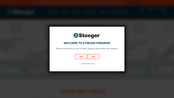 stoegerindustries.com