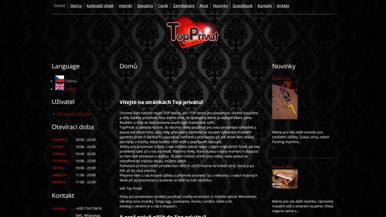 Homepage of TopPrint with navigation links and featured products displayed.