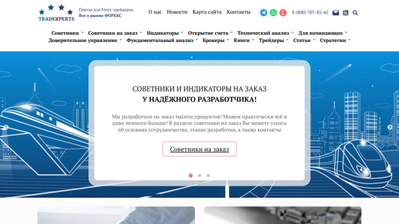 Homepage featuring services and consultants for custom development with a blue background.