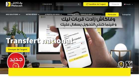 Homepage of a money transfer service featuring a mobile app interface and promotional text.