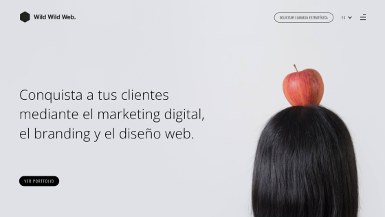 Website promoting digital marketing, branding, and web design services.