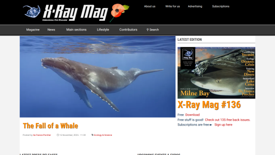X-Ray Mag homepage featuring a whale image and headline 'The Fall of a Whale' with navigation and latest edition info