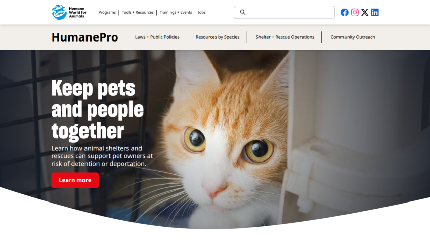 Homepage of HumanePro featuring a cat and a message about keeping pets and people together.