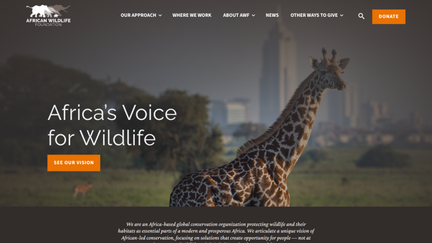 Homepage of African Wildlife with a giraffe and the tagline 'Africa's Voice for Wildlife'.