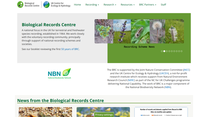 Biological Records Centre homepage with navigation, introduction, images of species, and news section