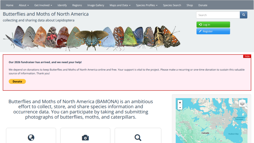 butterfliesandmoths.org
