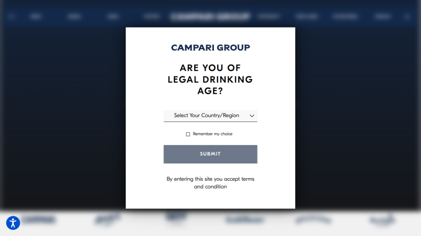 camparigroup.com