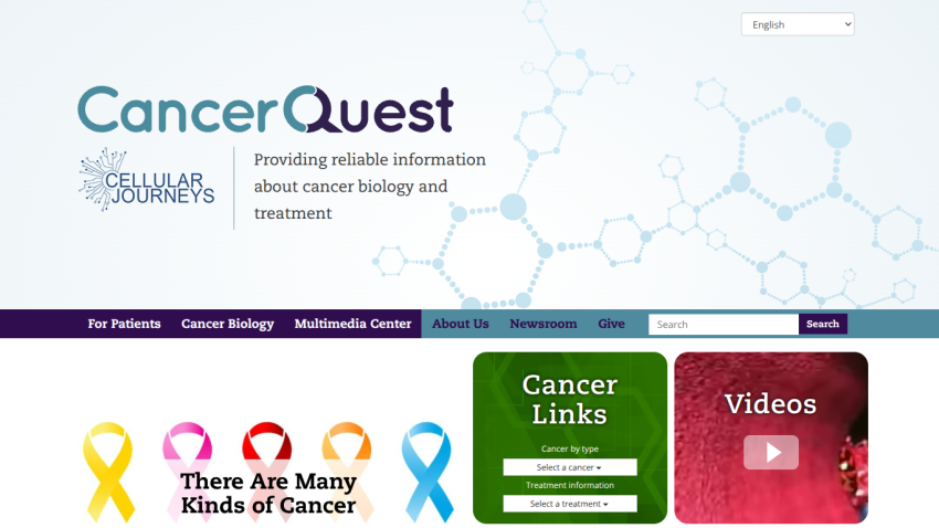 CancerQuest homepage providing reliable information about cancer biology and treatment with navigation and cancer awareness ribbons