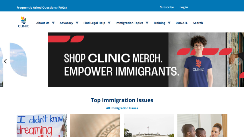 Immigration Legal Services Support Project case study with navigation and top immigration issues
