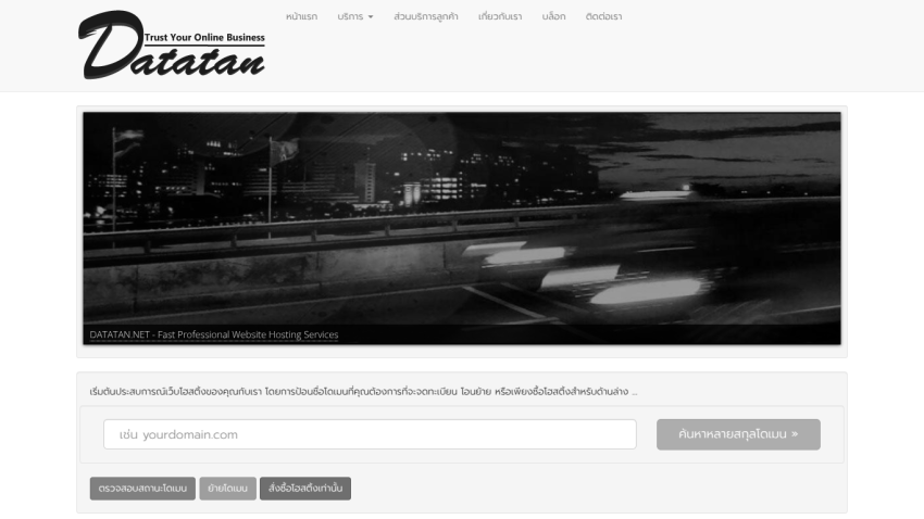 Datatan website offering fast professional hosting services with domain search and management options