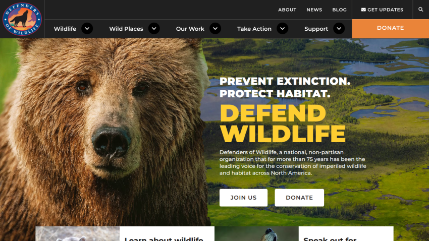 Homepage promoting wildlife conservation with a bear image and call-to-action buttons.