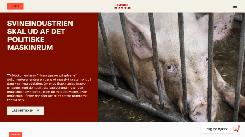 dyrenesbeskyttelse.dk