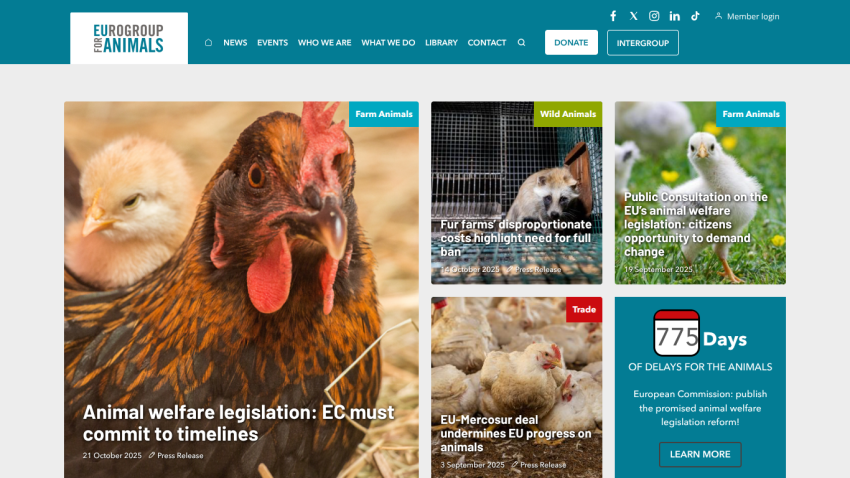 Eurogroup for Animals homepage with news on animal welfare legislation and EU progress, featuring images of farm and wild animals