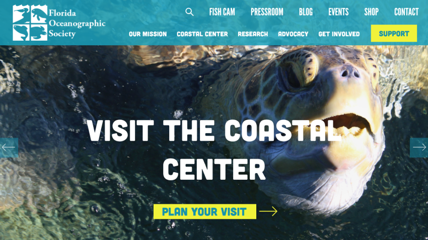 Homepage header with navigation menu and hero section featuring a promotional banner and call-to-action button