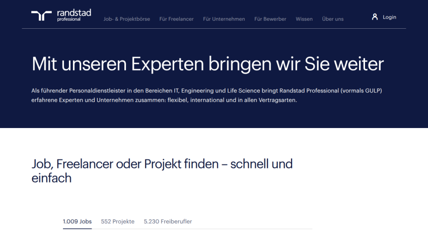 Website header with a tagline about expert services and a job search prompt.